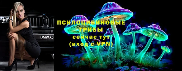 mdpv Ельня
