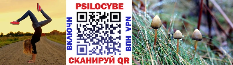 Псилоцибиновые грибы мухоморы  Киренск 